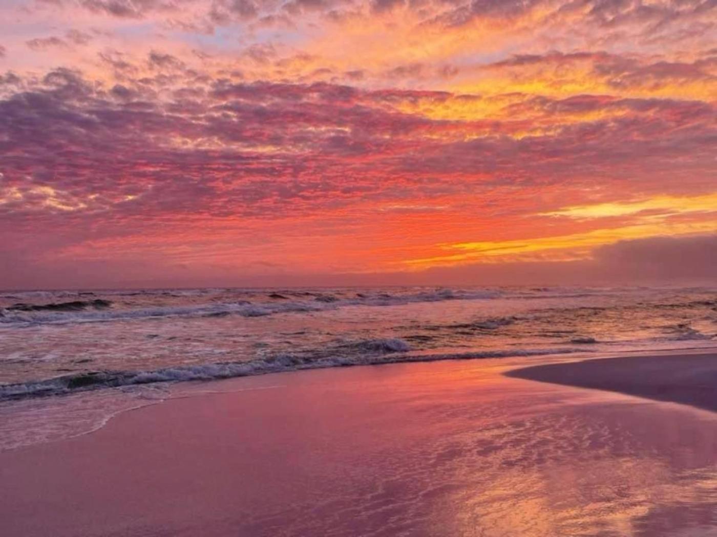 Sunrise Surprise 9Th Floor 2Br 2 Ba King Suite Beach Shuttle, Heated Pool! Destin Extérieur photo